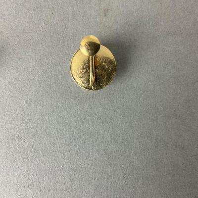 S693 14k Yellow Gold Domed Round Polished Screw Back Earrings