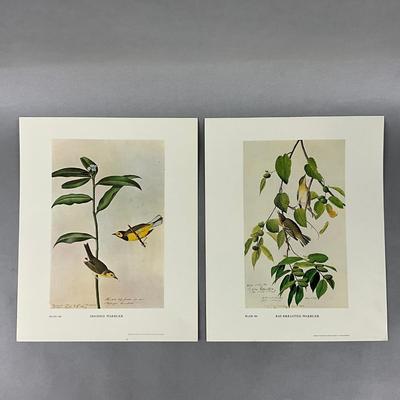 Set Of Eight Pibb Birds Of America Prints