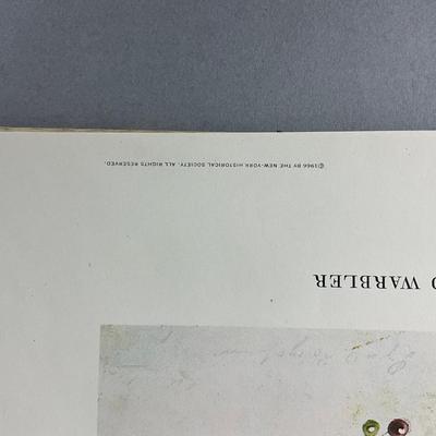 Set Of Eight Pibb Birds Of America Prints