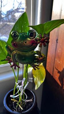 LIVE PLANT, VASE AND FAUX FLOWERS