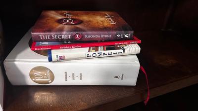 NATIVE AMERICAN THEMED BRASS BOOKENDS AND A VARIETY OF BOOKS