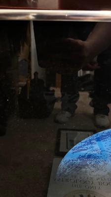 UNIQUE TEMPERATURE TELLING PRINT, ASTROLOGY BOOK, AND ADVICE FROM THE HUMMING BIRD PRINT