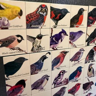 Collection of Audubon Society Field Guides, Gardening Books & Binoculars (LR-JS)