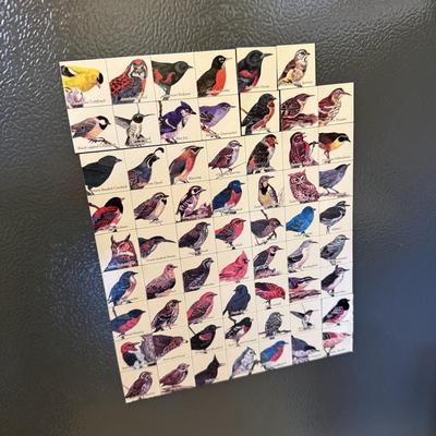 Collection of Audubon Society Field Guides, Gardening Books & Binoculars (LR-JS)