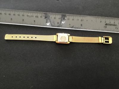 Nelsonic Christmas Watch