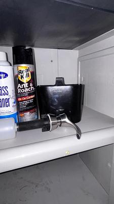 FURNITURE CARE CLEANING SYSTEM, GLASS CLEANER ANT AND ROACH SPRAY AND SOAP DISPENSER FOR SINK