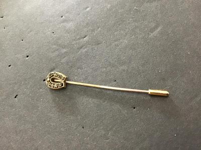 Vintage Rhinestone horse shoe pin