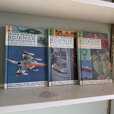 Vintage Children’s Books incl. Golden Book Sets, Happy Hollisters, & More (B3-HS)