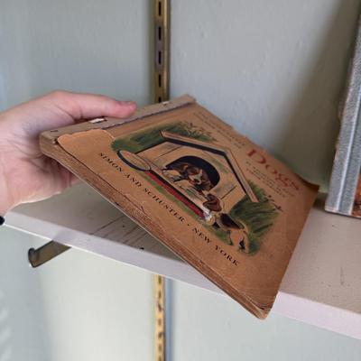 Vintage Children’s Books incl. Golden Book Sets, Happy Hollisters, & More (B3-HS)