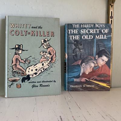 Vintage Children’s Books incl. Golden Book Sets, Happy Hollisters, & More (B3-HS)