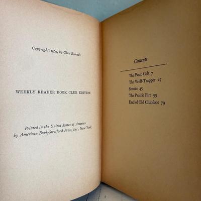 Vintage Children’s Books incl. Golden Book Sets, Happy Hollisters, & More (B3-HS)