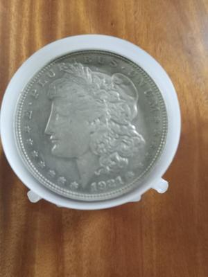 20 Morgan Dollars in Tube, Various dates