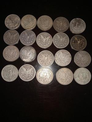20 Morgan Dollars in Tube, Various dates
