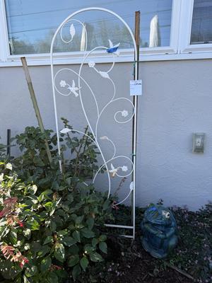 Garden Decor And Potted Plants