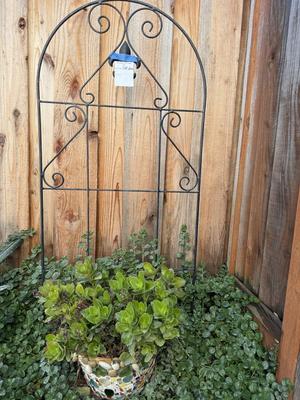 Trelliss, Mosaic Pot and Clay Pot With Cat