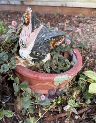 Trelliss, Mosaic Pot and Clay Pot With Cat