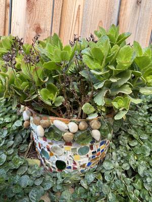 Trelliss, Mosaic Pot and Clay Pot With Cat