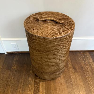 Laundry, Sewing/Buttons and Tidy Helpers! Incl Sharper Image & Shark (B1-BM)