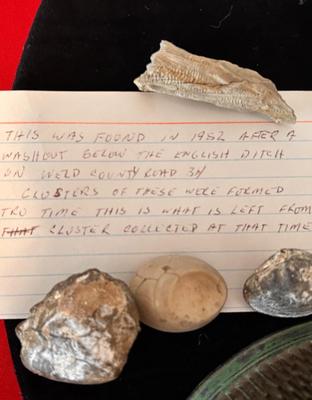 OLD SEED PACK, FLOWER FROGS, ROCK FORMATION CLUSTERS FROM 1952, PEACE PIPE SOUVENIR AND MORE