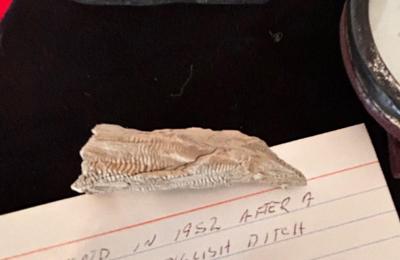 OLD SEED PACK, FLOWER FROGS, ROCK FORMATION CLUSTERS FROM 1952, PEACE PIPE SOUVENIR AND MORE