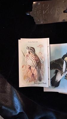 OLD HANGING SCALES AND ARM AND HAMMER BIRD OF AMERICA CARDS