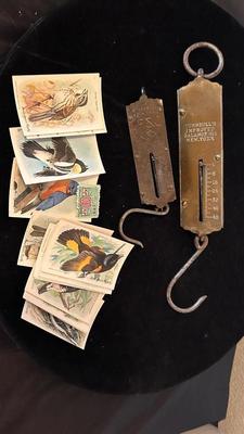 OLD HANGING SCALES AND ARM AND HAMMER BIRD OF AMERICA CARDS