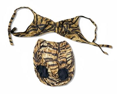 Two Vintage Swim Suits, Van Raalte & Sea Weeds