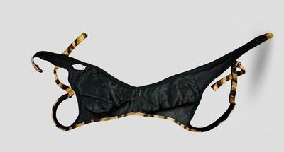 Two Vintage Swim Suits, Van Raalte & Sea Weeds