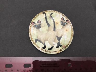 Disney Tokyo Large Button pin