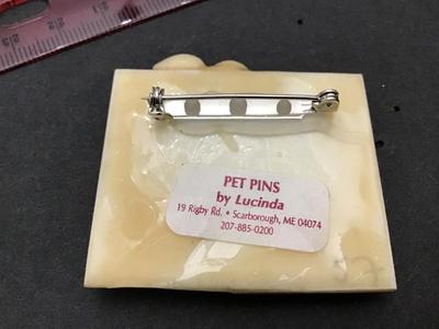 Lucinda Pet pins