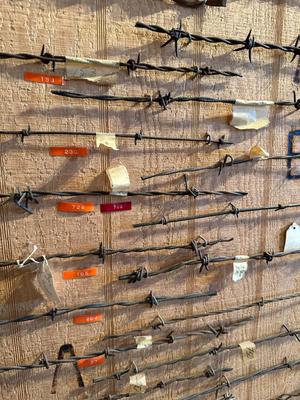 LARGE BARBED WIRE SAMPLE DISPLAY (See description)