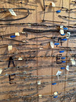 LARGE BARBED WIRE SAMPLE DISPLAY (See description)