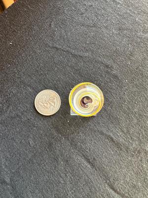 HANDBLOWN GLASS MARBLE WITH INTERNAL SWIRL WITHIN A MULTICOLORED LATTICINO SWIRL