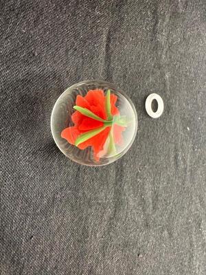 HANDBLOWN RED/ORANGE FLOWER ENCASED IN CLEAR GLASS MARBLE