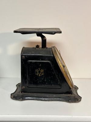 COLUMBIA FAMILY SCALE AND A COFFEE GRINDER