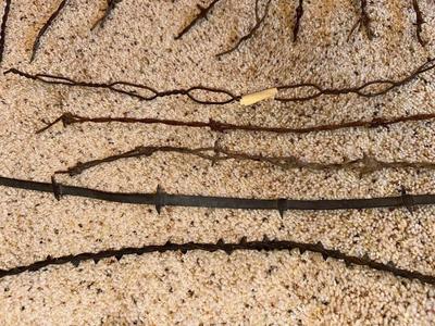 AN ASSORTMENT OF BARBED WIRE