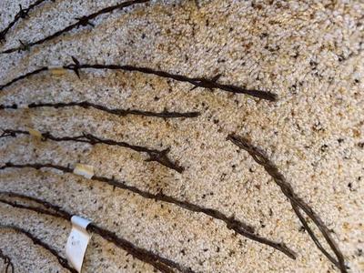 AN ASSORTMENT OF BARBED WIRE