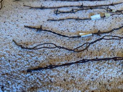 AN ASSORTMENT OF BARBED WIRE