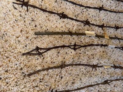 AN ASSORTMENT OF BARBED WIRE