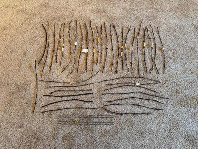 AN ASSORTMENT OF BARBED WIRE