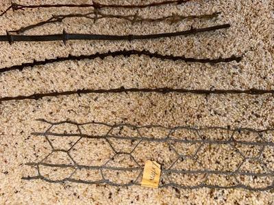 AN ASSORTMENT OF BARBED WIRE