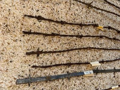 AN ASSORTMENT OF BARBED WIRE
