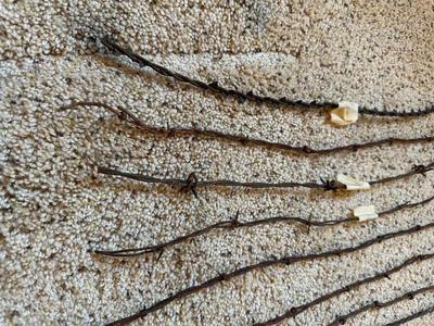 AN ASSORTMENT OF BARBED WIRE