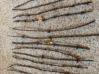 AN ASSORTMENT OF BARBED WIRE