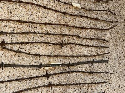 AN ASSORTMENT OF BARBED WIRE