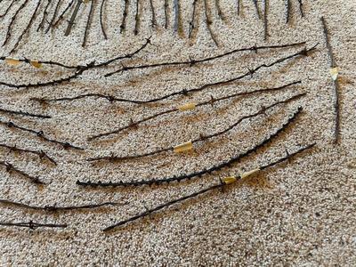 AN ASSORTMENT OF BARBED WIRE