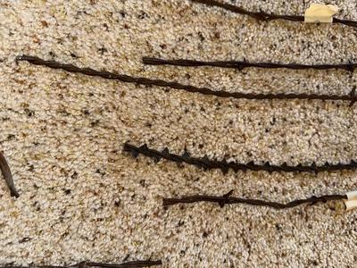 AN ASSORTMENT OF BARBED WIRE