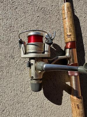 FENWICK EAGLE GRAPHITE FISHING POLE AND SHIMANO 1000 REEL WITH FISHING ROD