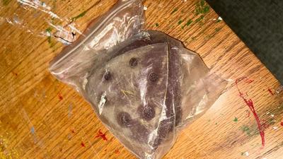 CHICAGO ELECTRIC DETAIL SANDER, MITER SAW FROM SCAGS, AND AN ADJUSTABLE CARPENTER SQUARE