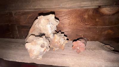 MINING/OILFIELD EARTH DRILLING BITS